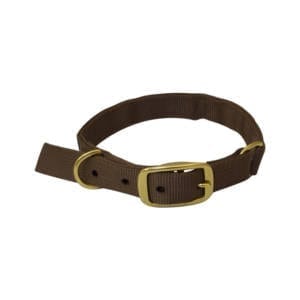 Drake Team Dog Split Ring Collar Dog Training & Supplies