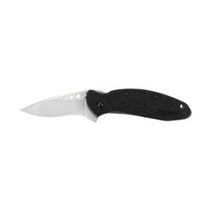 Kershaw Scallion Folding Knife Knives