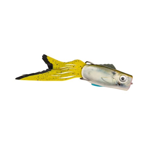 Strike King KVD Topwater Lure Pop’n Perch Natural Shade Fishing