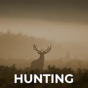 Banner Hunting