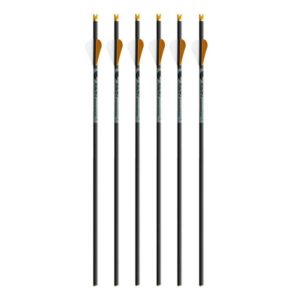 Ravin R500 Carbon Arrows .003″ 400 Grain Arrow Pack of 6 Archery