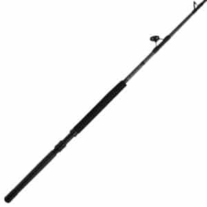 Penn Ally II Straight Butt Conventional Boat Rod – ALLYBWII5080C60RS Conventional Rods
